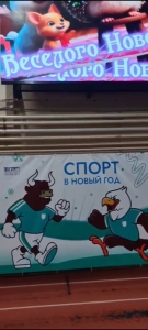 Спорт в Новый год.